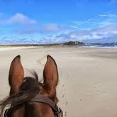 Horse riding on the beach